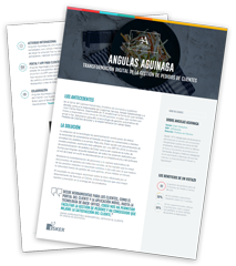 Angulas aguinaga