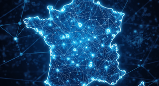 E-Book: Die E-Rechnung in Frankreich