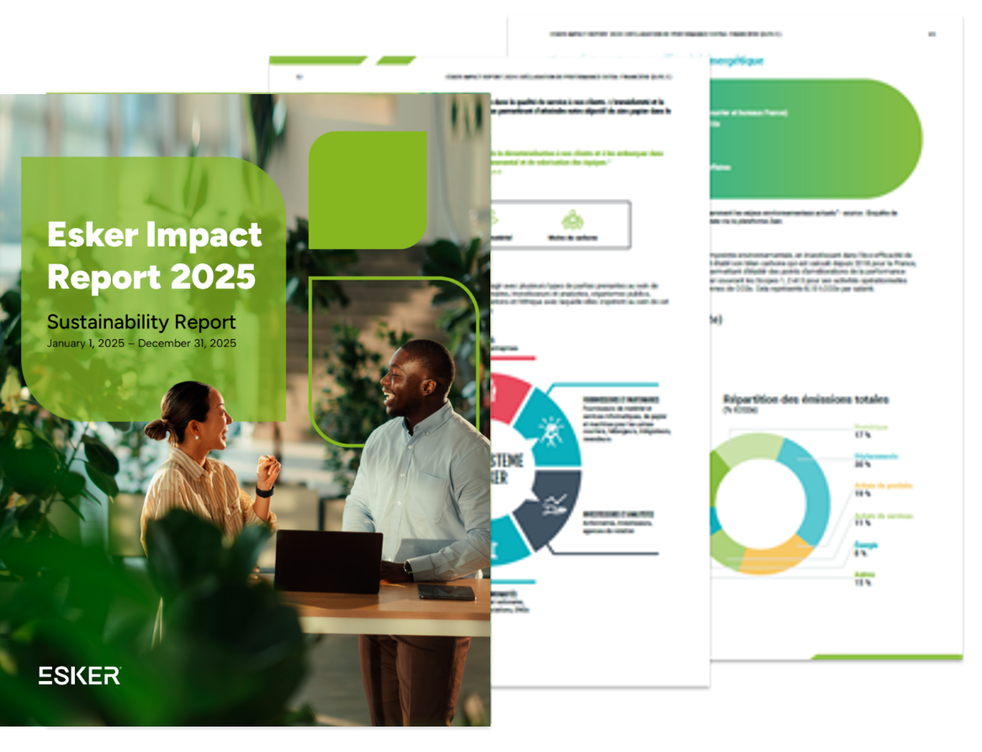 Image Esker impact report