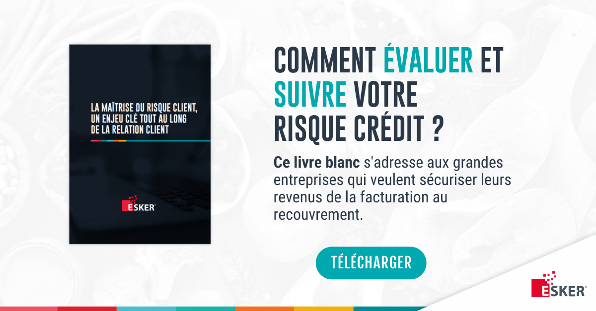 livre blanc risque crédit client