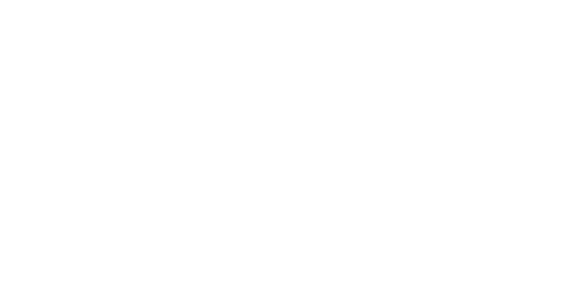sante pros