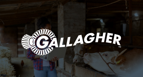 Invoice Automation  From Procure-to-Pay  All the Way…