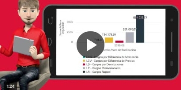 Visibilidad de los cargos