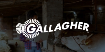 Gallagher reduce un 40% el tiempo de gestión