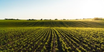 Vers une gestion sans friction des litiges dans l'agroalimentaire